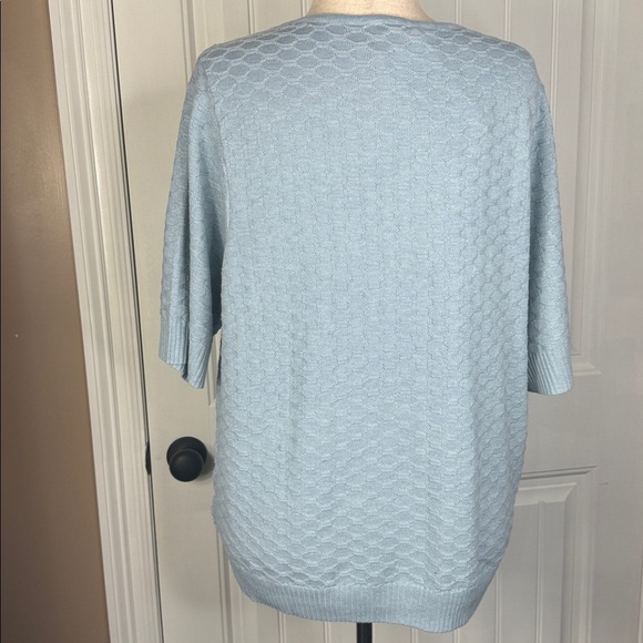 Ella Moss Light Blue V-Neck Textured Sweater Sz XXL - Picture 6 of 14